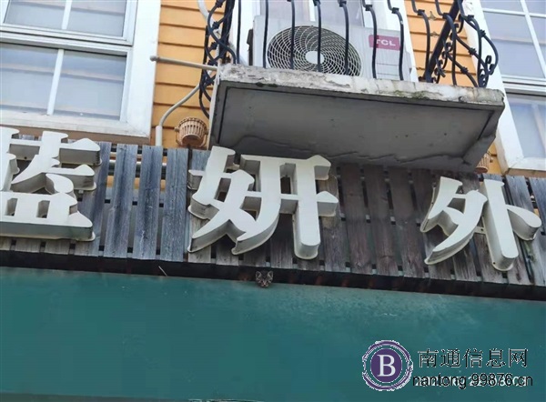 荷兰街流浪猫救助